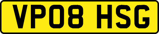 VP08HSG