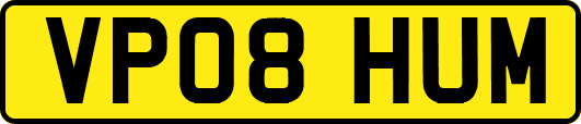 VP08HUM