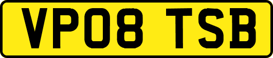 VP08TSB