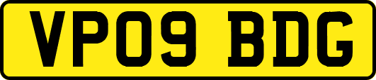 VP09BDG