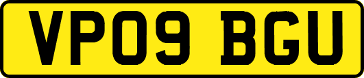 VP09BGU