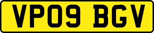 VP09BGV