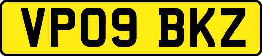 VP09BKZ