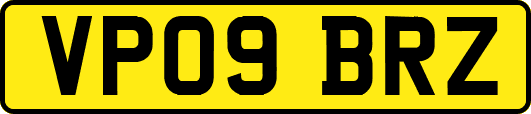 VP09BRZ