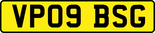 VP09BSG