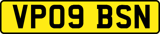 VP09BSN