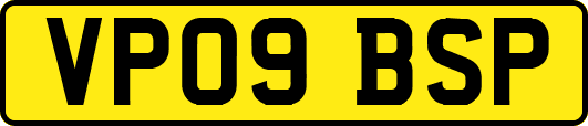 VP09BSP