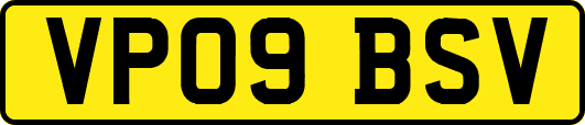 VP09BSV