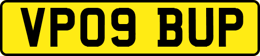 VP09BUP