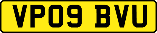 VP09BVU