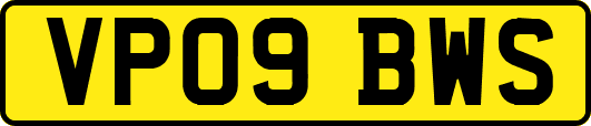 VP09BWS