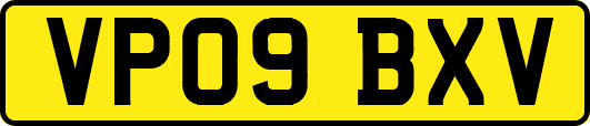 VP09BXV