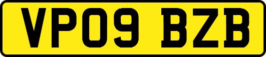 VP09BZB