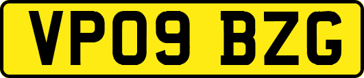 VP09BZG