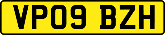 VP09BZH