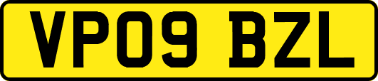VP09BZL