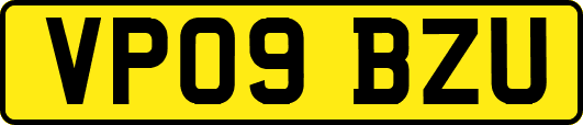 VP09BZU