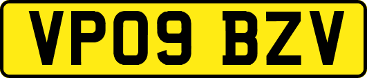 VP09BZV