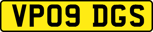 VP09DGS