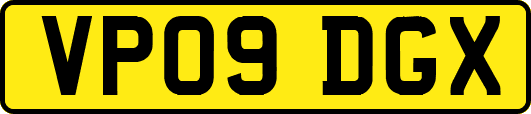 VP09DGX