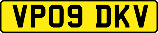 VP09DKV