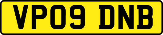 VP09DNB