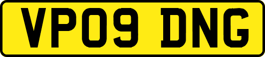 VP09DNG