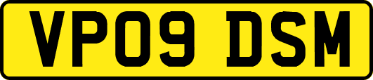 VP09DSM