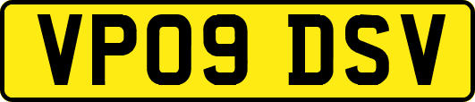 VP09DSV