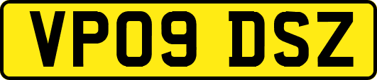 VP09DSZ