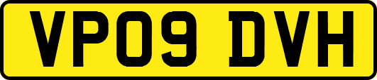 VP09DVH
