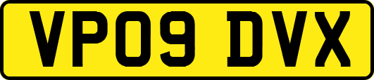 VP09DVX