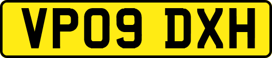 VP09DXH