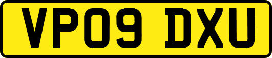 VP09DXU