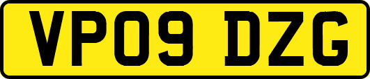 VP09DZG