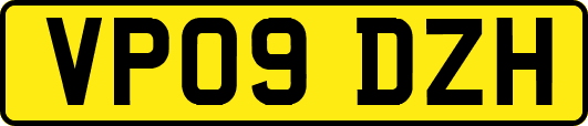 VP09DZH