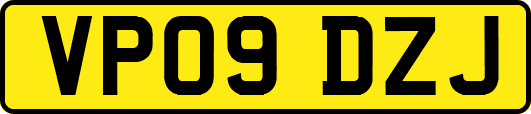 VP09DZJ