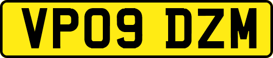 VP09DZM
