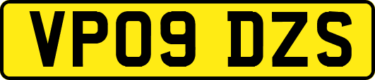 VP09DZS
