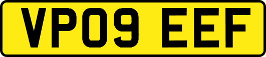 VP09EEF