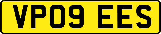 VP09EES
