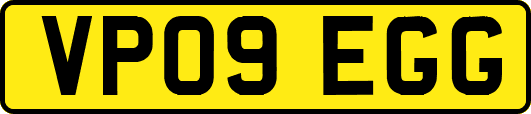 VP09EGG