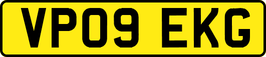 VP09EKG