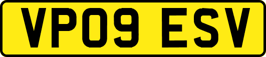 VP09ESV