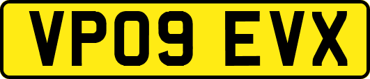 VP09EVX