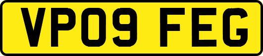 VP09FEG