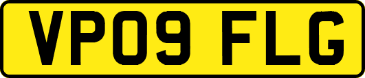VP09FLG