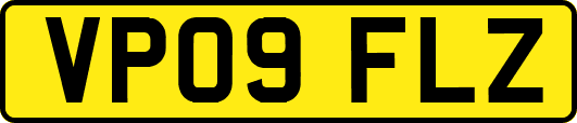 VP09FLZ
