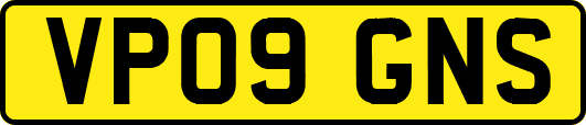 VP09GNS