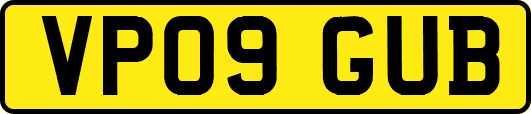 VP09GUB